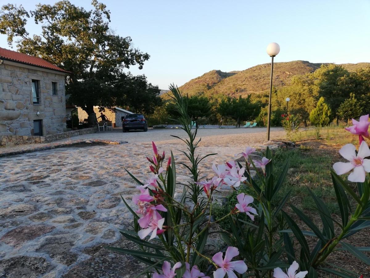 Quinta Dos Carvalhais - Serra Da Estrela فورنوس دي ألجودريس المظهر الخارجي الصورة