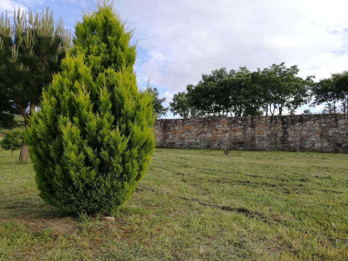 Quinta Dos Carvalhais - Serra Da Estrela فورنوس دي ألجودريس المظهر الخارجي الصورة