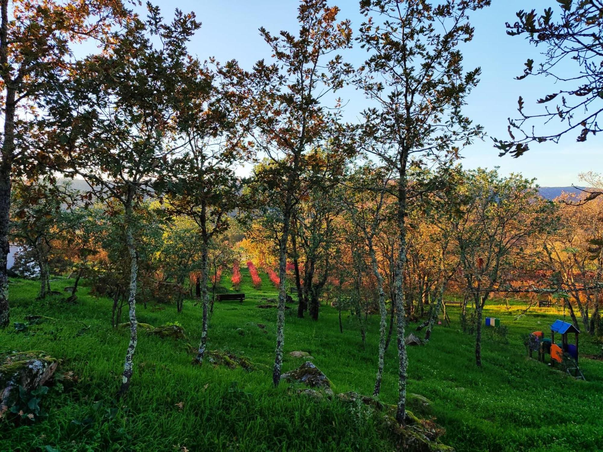 Quinta Dos Carvalhais - Serra Da Estrela فورنوس دي ألجودريس المظهر الخارجي الصورة
