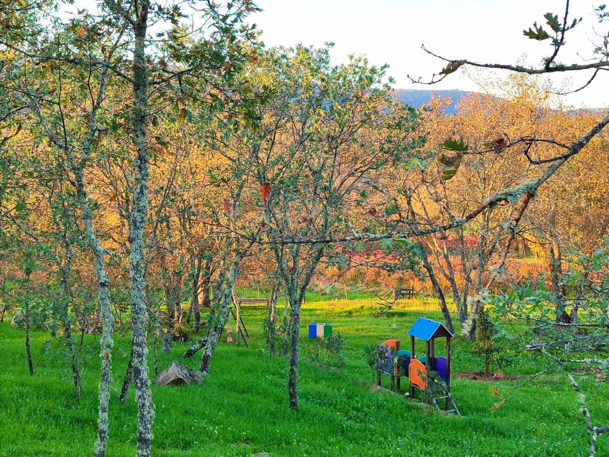 Quinta Dos Carvalhais - Serra Da Estrela فورنوس دي ألجودريس المظهر الخارجي الصورة