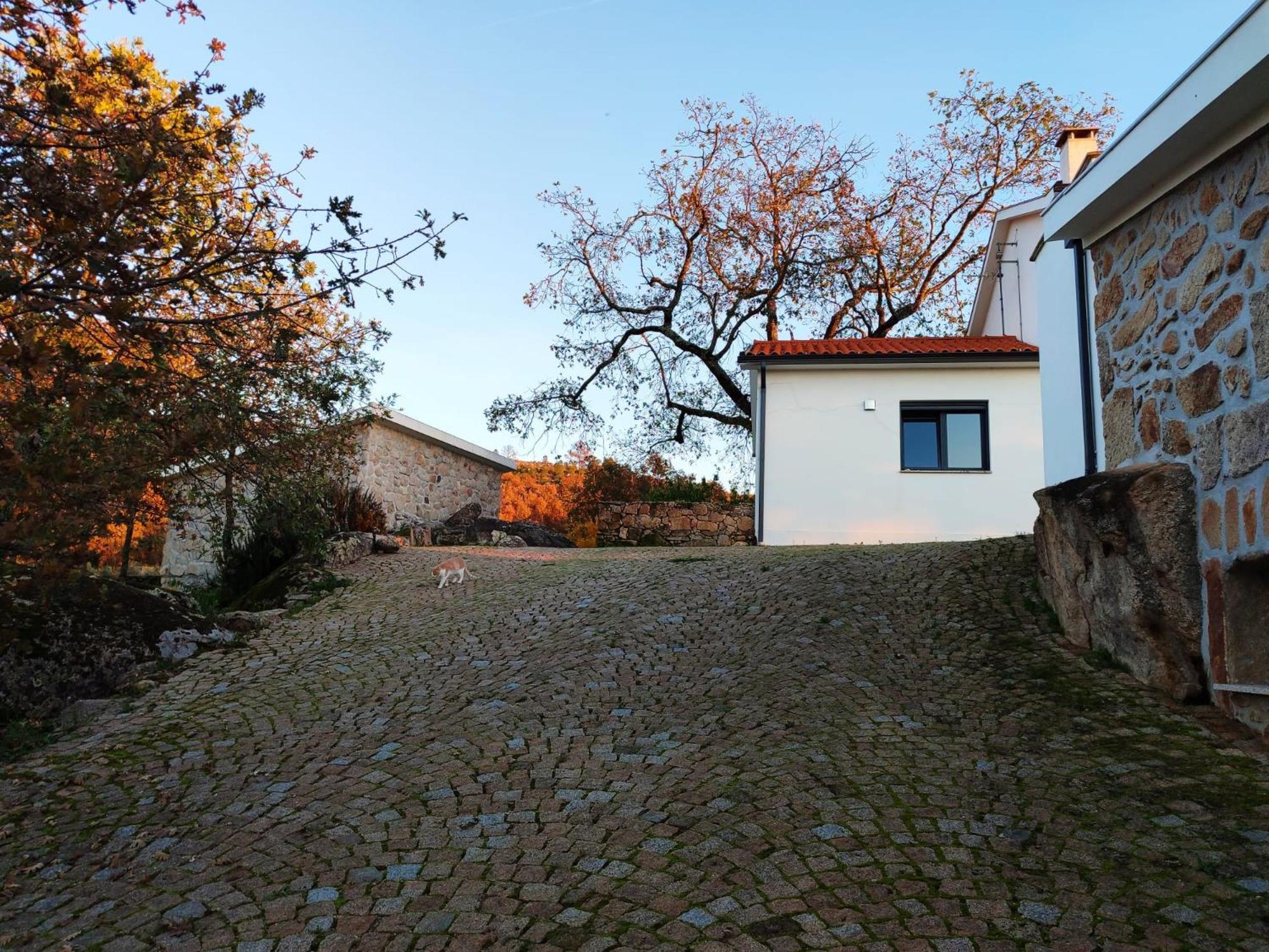 Quinta Dos Carvalhais - Serra Da Estrela فورنوس دي ألجودريس المظهر الخارجي الصورة