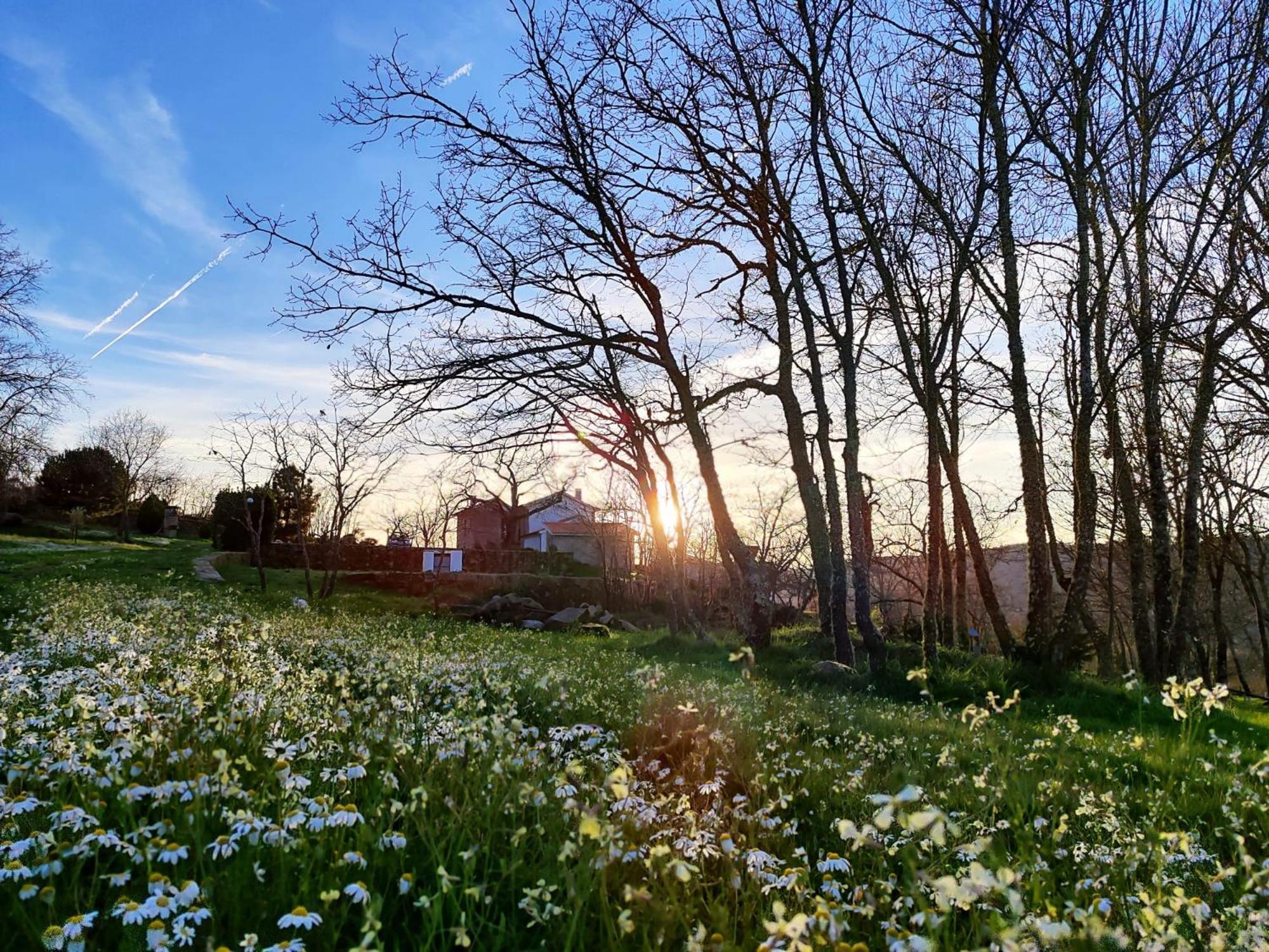 Quinta Dos Carvalhais - Serra Da Estrela فورنوس دي ألجودريس المظهر الخارجي الصورة