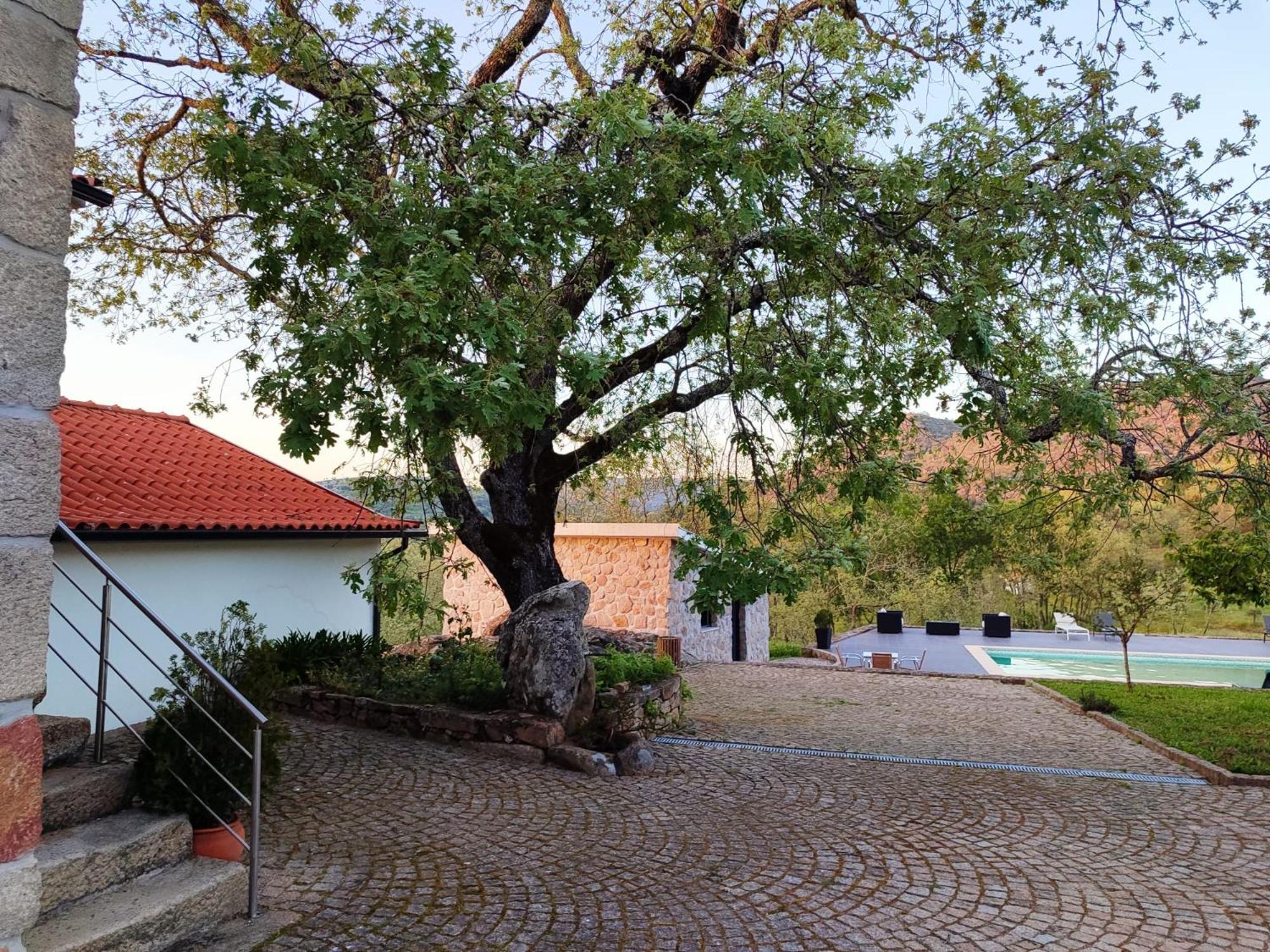 Quinta Dos Carvalhais - Serra Da Estrela فورنوس دي ألجودريس المظهر الخارجي الصورة